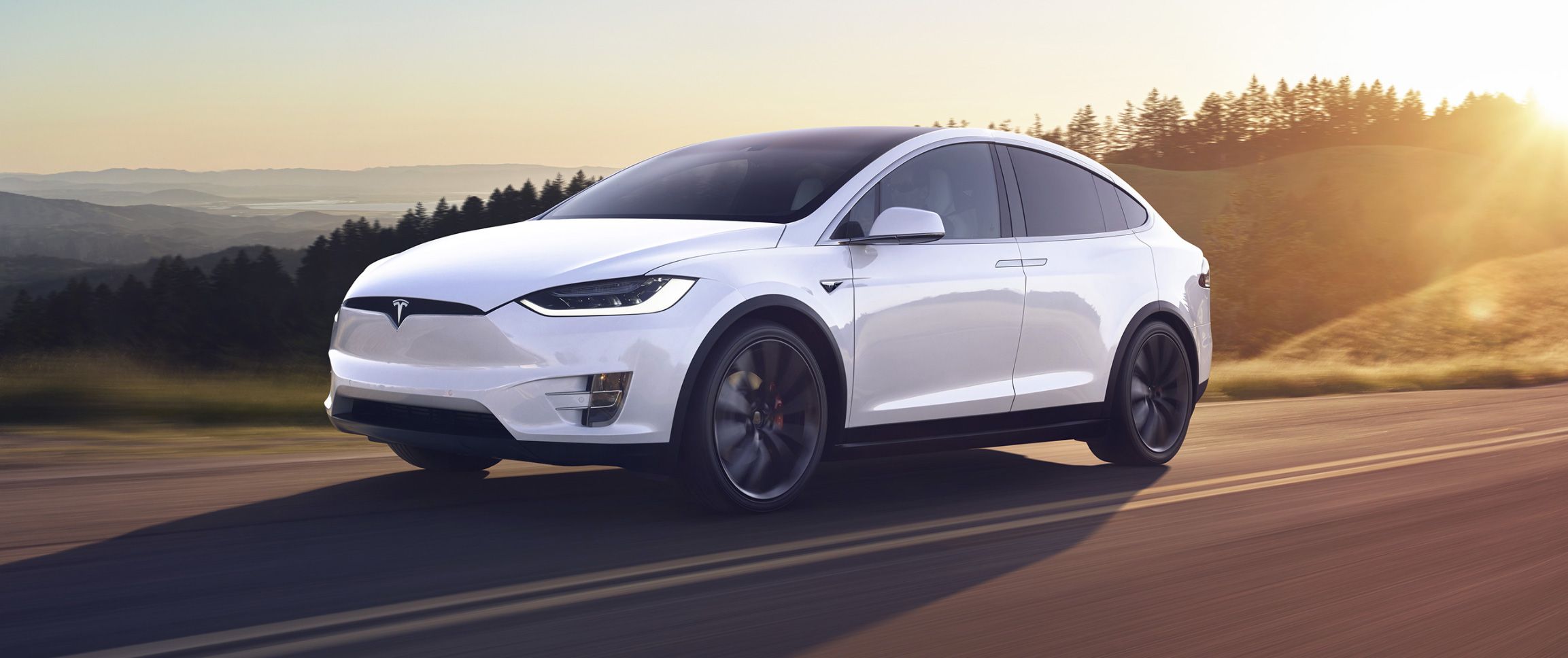 Used Tesla Model X, 2020